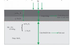 Cấu trúc và chức năng lớp thấm N thể khí điển hình