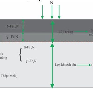 Cấu trúc và chức năng lớp thấm N thể khí điển hình