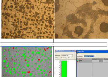 Ảnh tổ chức gang cầu