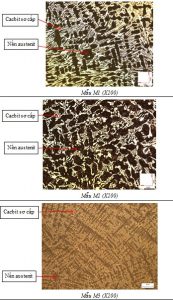 Tổ chức tế vi mẫu gang crom cao