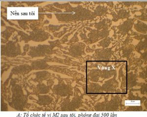 Tổ chức tế vi gang crom sau tôi