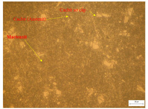 Hình 3.3. Tổ chức thép SKD11 sau tôi tẩm thực lên mactenxit