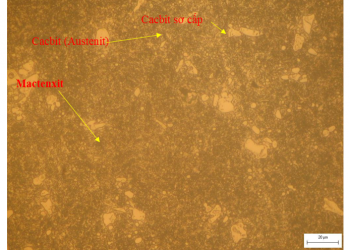 Hình 3.3. Tổ chức thép SKD11 sau tôi tẩm thực lên mactenxit