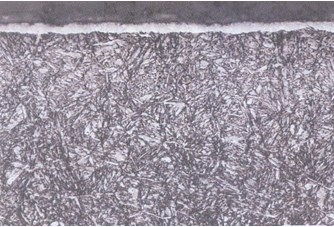 Tổ chức tế vi lớp thấm